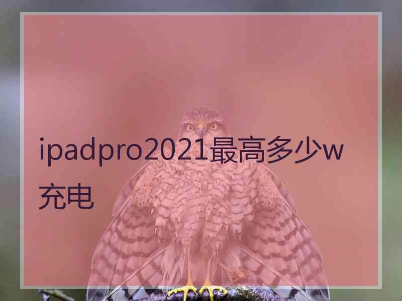 ipadpro2021最高多少w充电