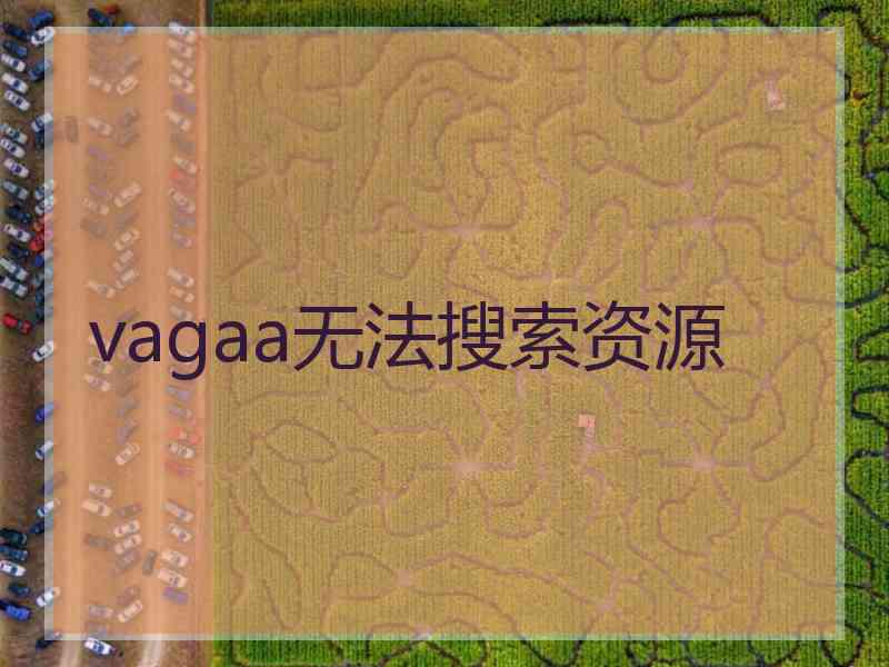 vagaa无法搜索资源