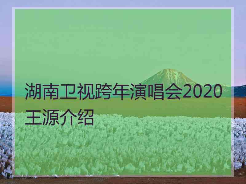 湖南卫视跨年演唱会2020王源介绍