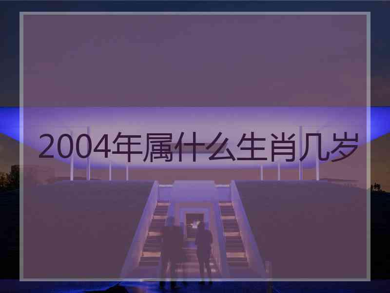 2004年属什么生肖几岁