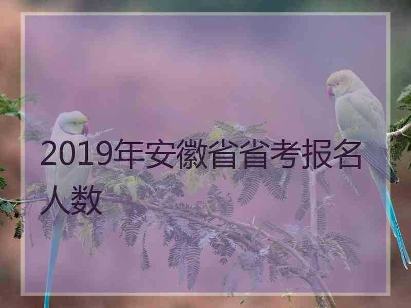 2019年安徽省省考报名人数
