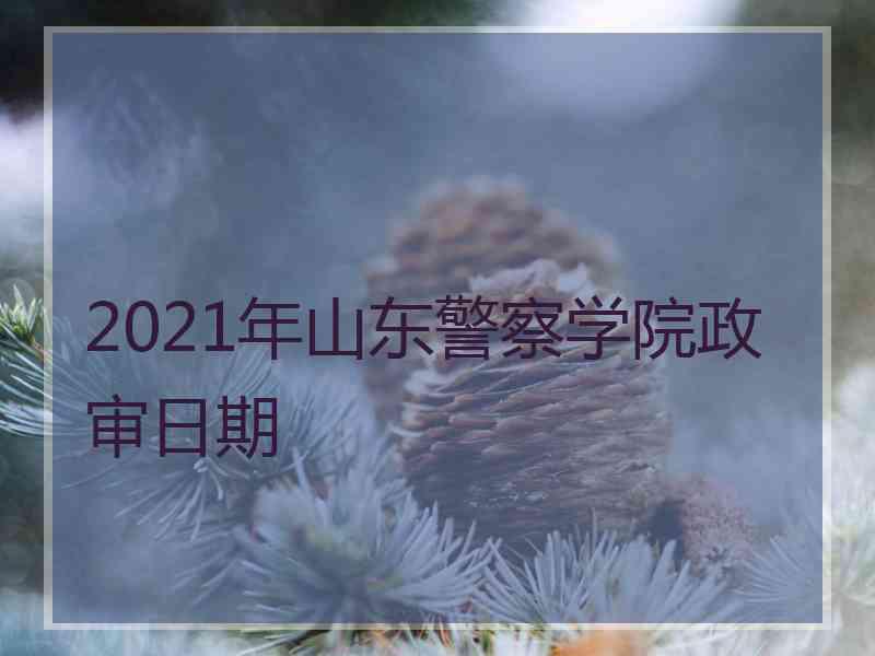 2021年山东警察学院政审日期