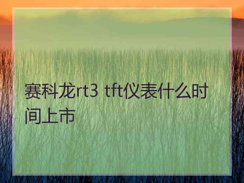 赛科龙rt3 tft仪表什么时间上市