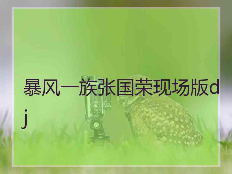 暴风一族张国荣现场版dj