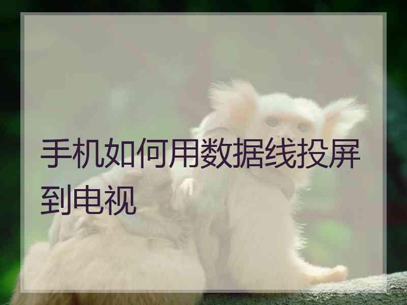 手机如何用数据线投屏到电视