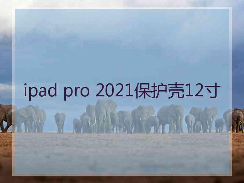 ipad pro 2021保护壳12寸
