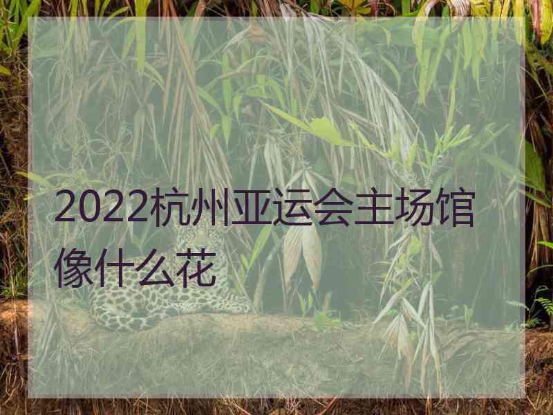 2022杭州亚运会主场馆像什么花