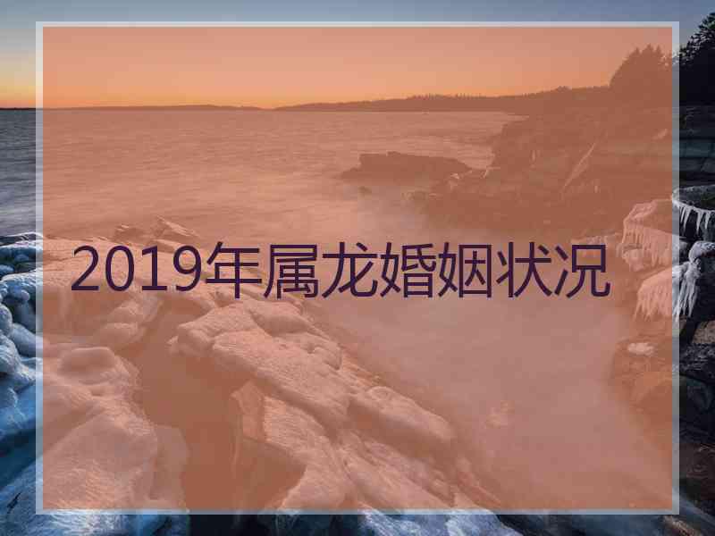2019年属龙婚姻状况