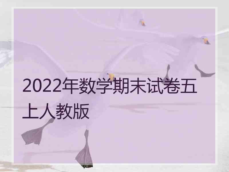 2022年数学期末试卷五上人教版