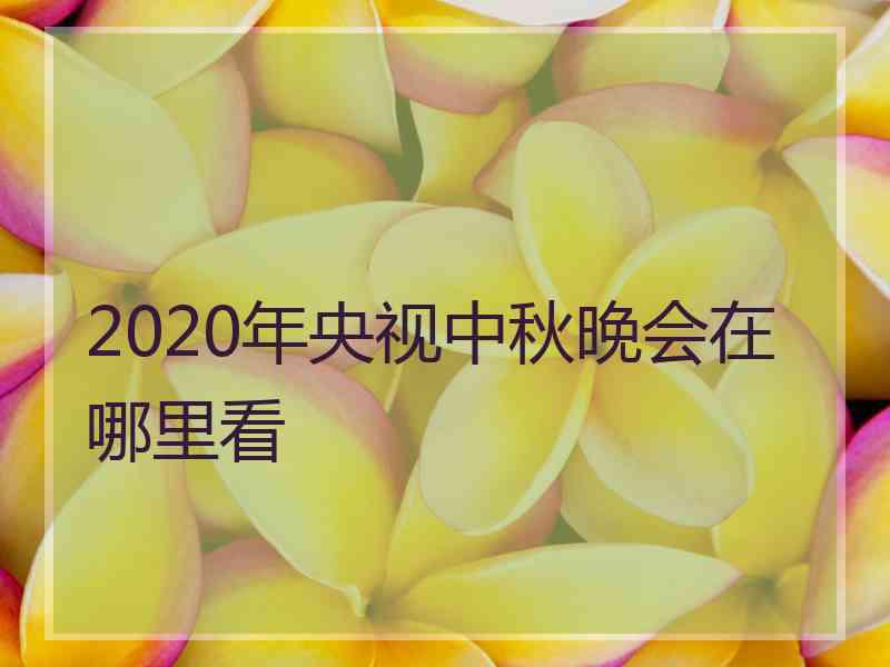 2020年央视中秋晚会在哪里看