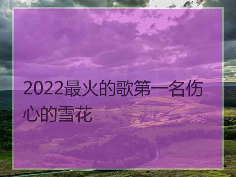 2022最火的歌第一名伤心的雪花