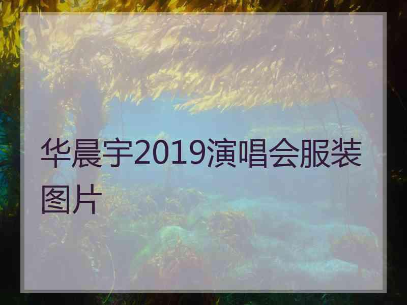 华晨宇2019演唱会服装图片