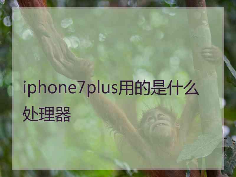 iphone7plus用的是什么处理器