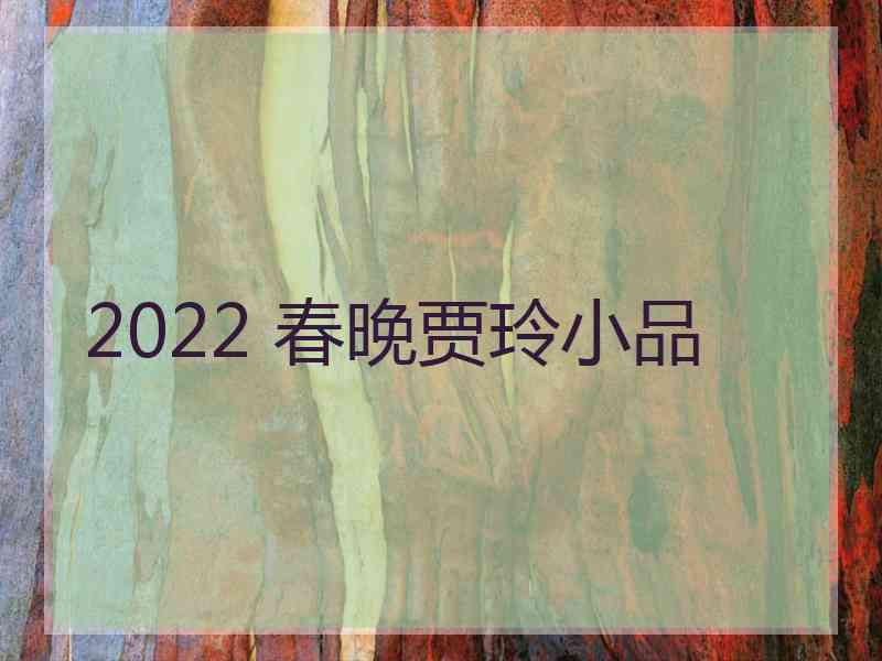 2022 春晚贾玲小品
