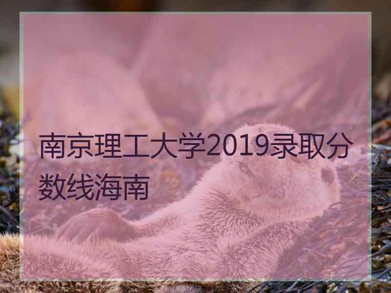 南京理工大学2019录取分数线海南