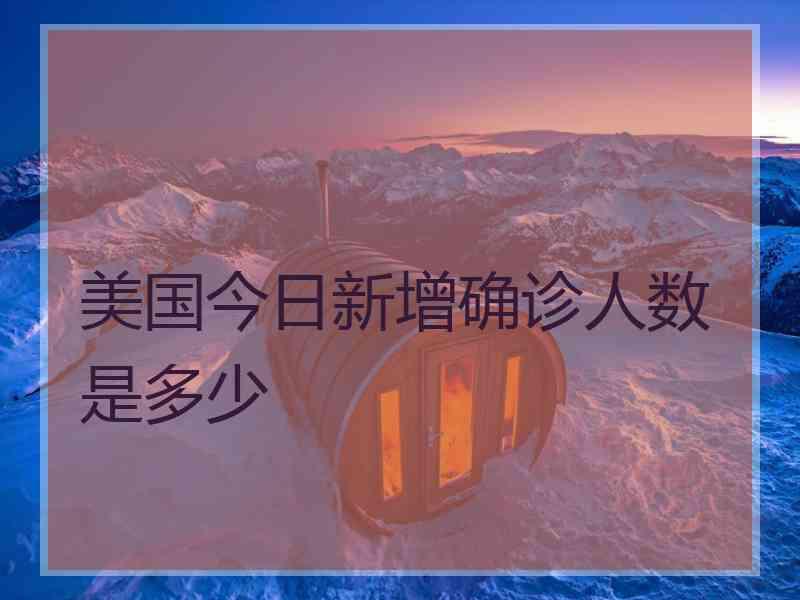 美国今日新增确诊人数是多少