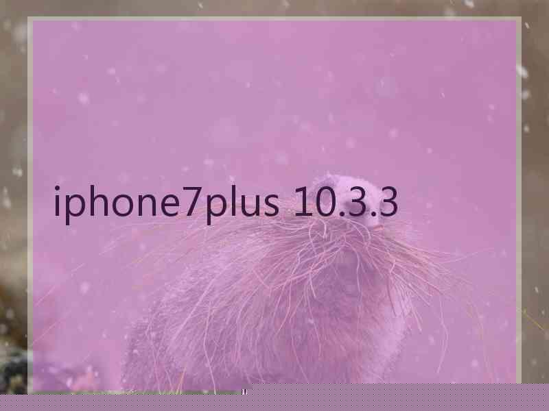 iphone7plus 10.3.3