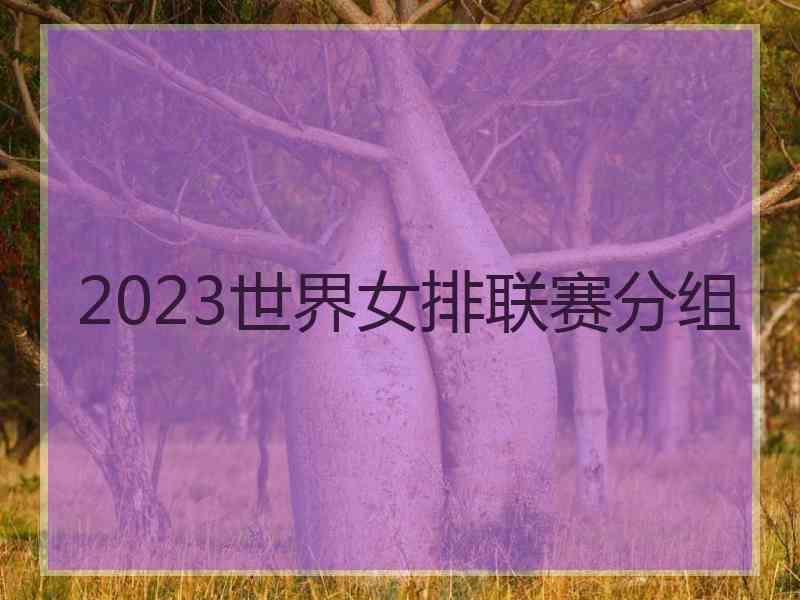 2023世界女排联赛分组