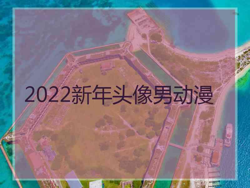 2022新年头像男动漫