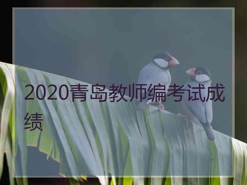 2020青岛教师编考试成绩