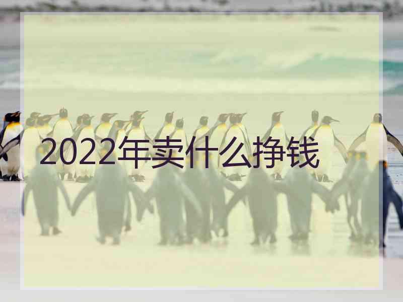 2022年卖什么挣钱