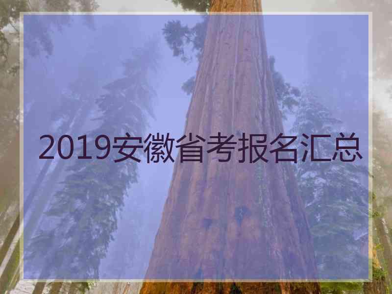 2019安徽省考报名汇总