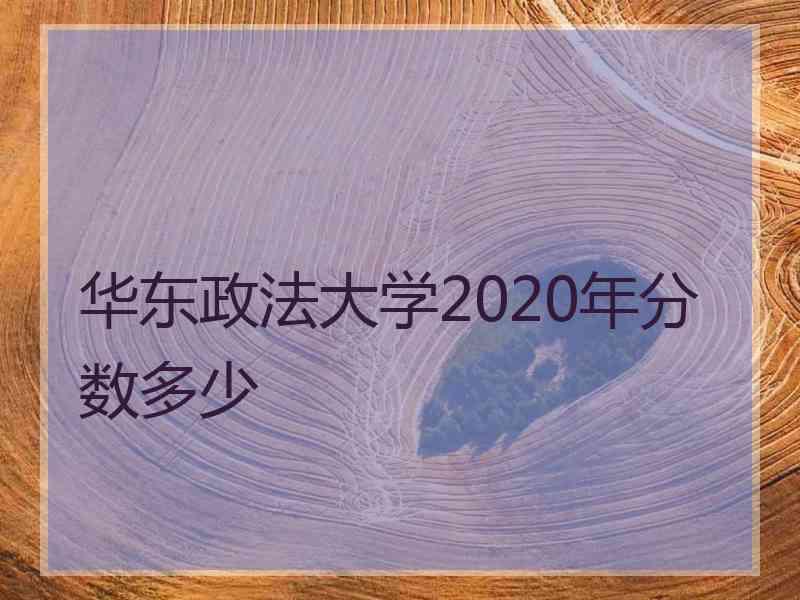 华东政法大学2020年分数多少