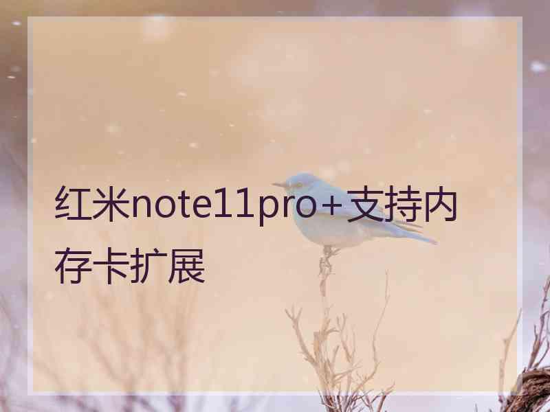 红米note11pro+支持内存卡扩展