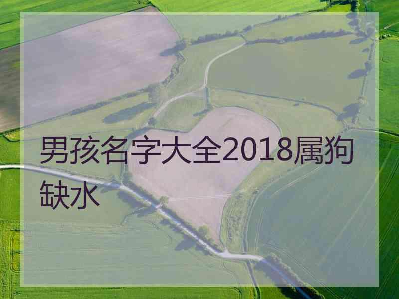 男孩名字大全2018属狗缺水