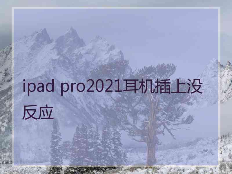 ipad pro2021耳机插上没反应