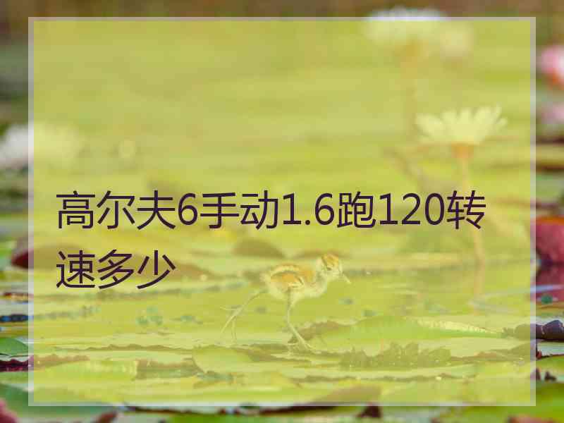 高尔夫6手动1.6跑120转速多少