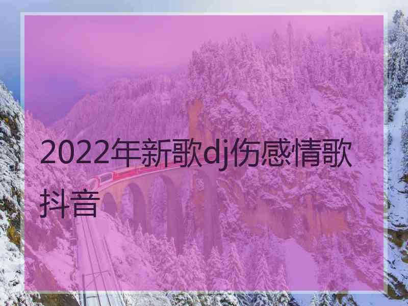 2022年新歌dj伤感情歌抖音