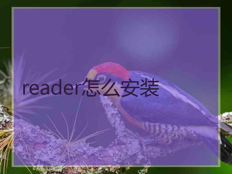 reader怎么安装