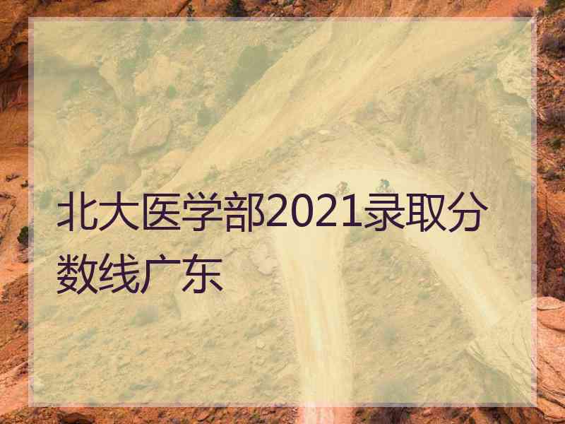 北大医学部2021录取分数线广东