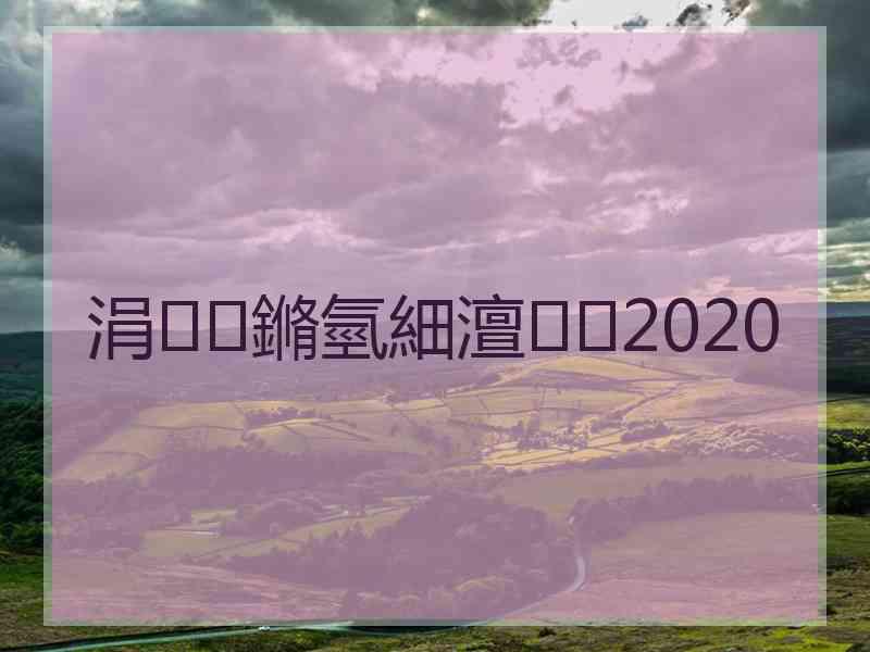 涓鏅氫細澶2020