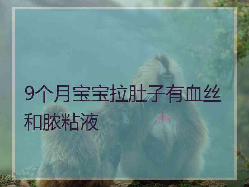 9个月宝宝拉肚子有血丝和脓粘液