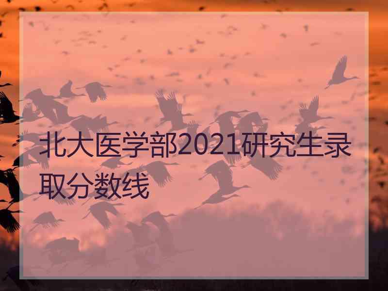北大医学部2021研究生录取分数线