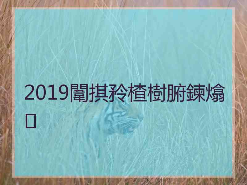 2019闈掑矝楂樹腑鍊熻