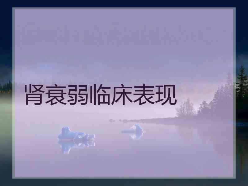 肾衰弱临床表现