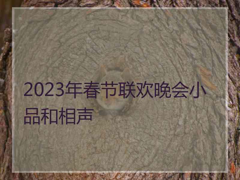 2023年春节联欢晚会小品和相声