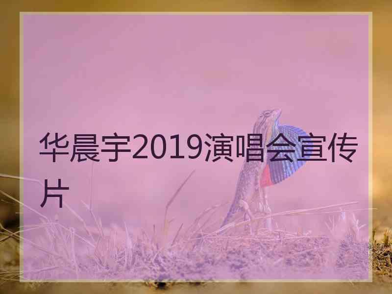 华晨宇2019演唱会宣传片
