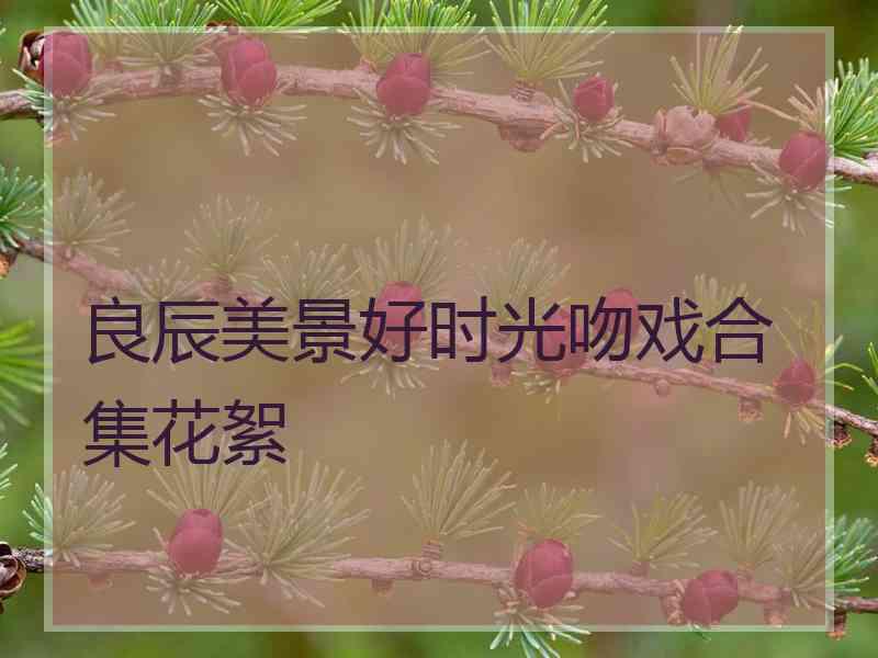良辰美景好时光吻戏合集花絮