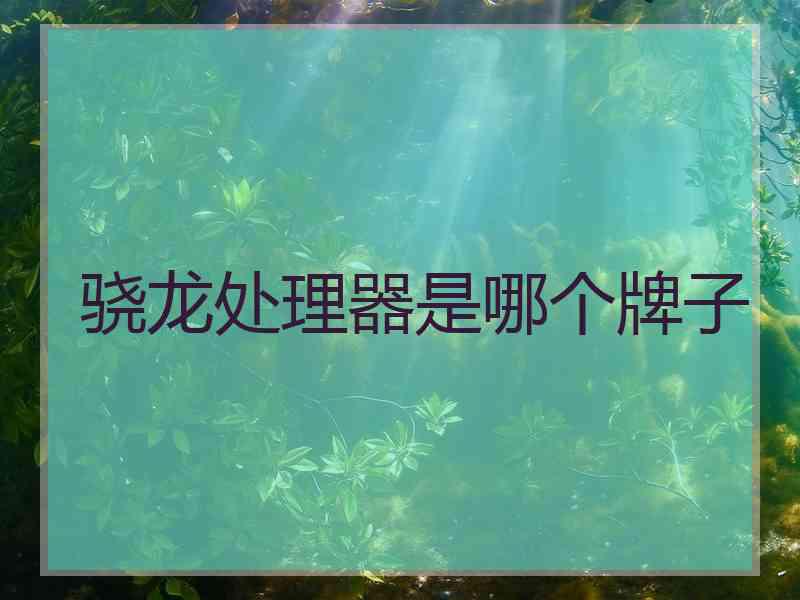 骁龙处理器是哪个牌子