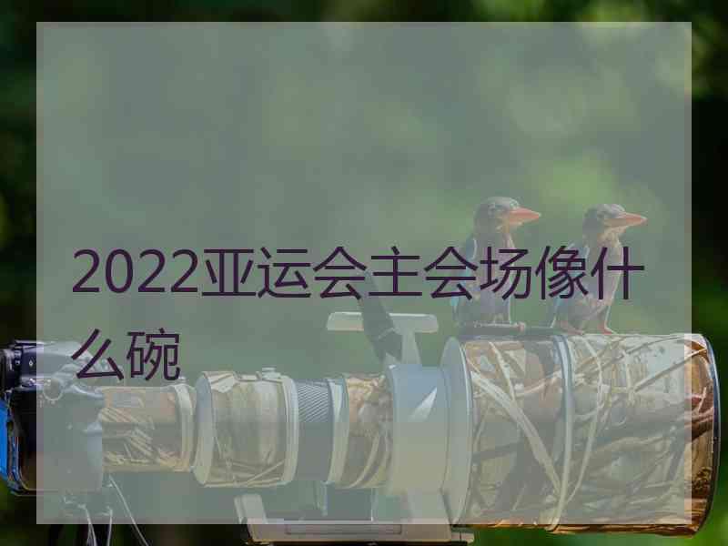 2022亚运会主会场像什么碗