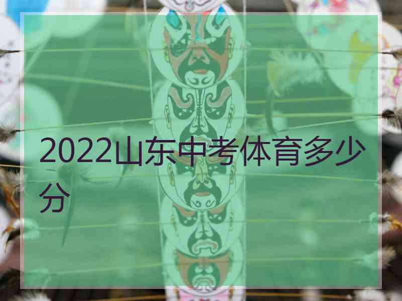 2022山东中考体育多少分