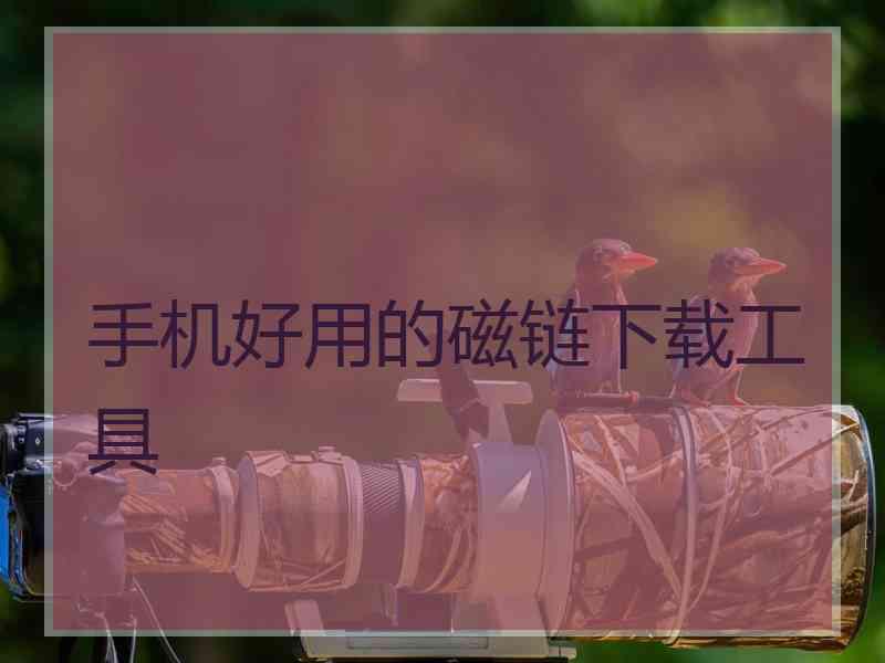 手机好用的磁链下载工具