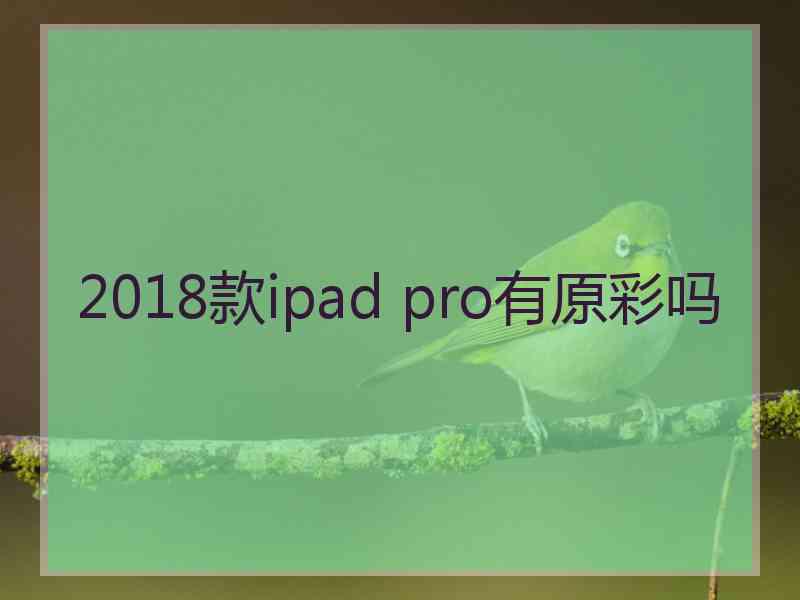 2018款ipad pro有原彩吗