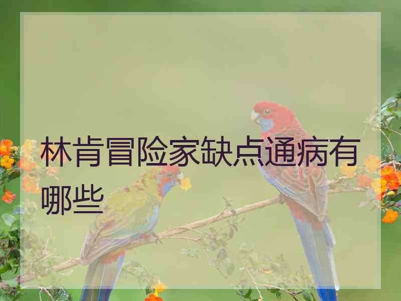 林肯冒险家缺点通病有哪些