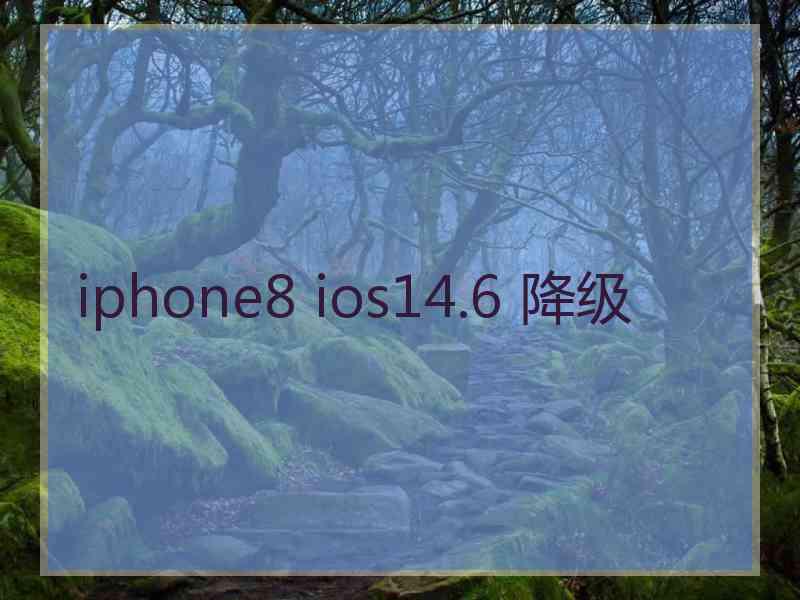 iphone8 ios14.6 降级