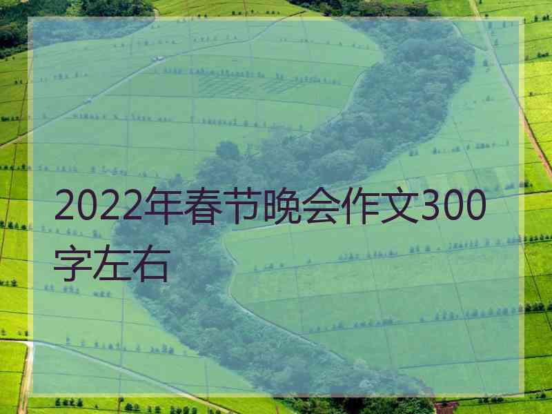 2022年春节晚会作文300字左右